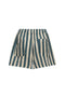 Liana Green Stripes Linen Shorts